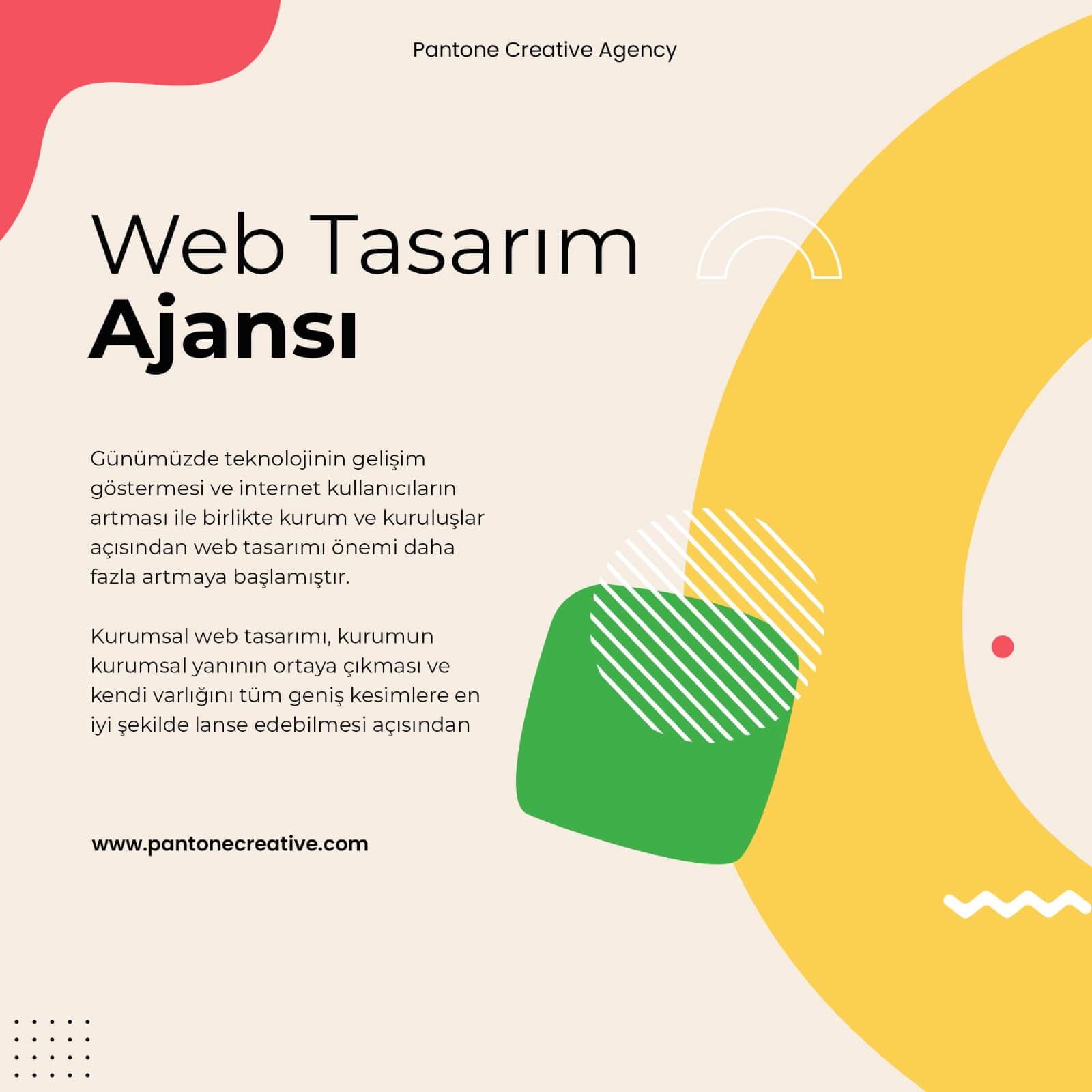 wordpress web tasarÄ±m